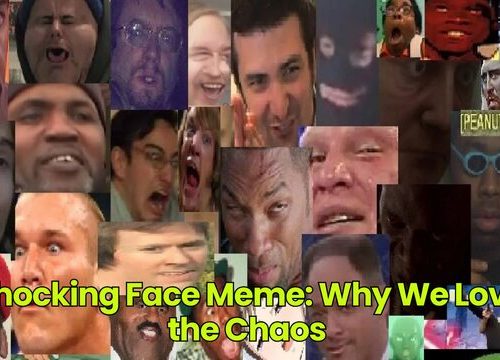 Shocking Face Meme: Why We Love the Chaos