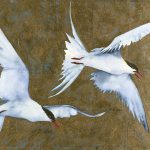 Robert Macfarlane and Jackie Morris’s Exquisite Illustrated Field Guide to the Wonder of the Winged – The Marginalian