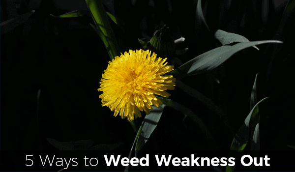 5 Ways to weed weakness out of your life