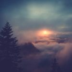 Manifestation Mastery for Leaders