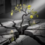 Resilience